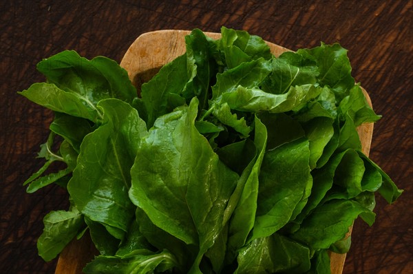 Bunch of Arugula on cutting board