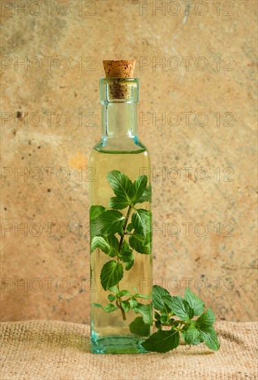 Olive oil bottle with mint leaves