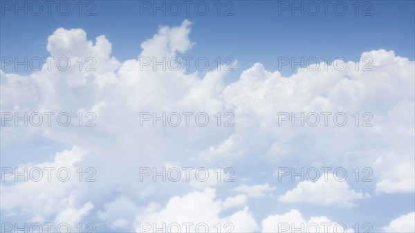 Cumulus cloudscape