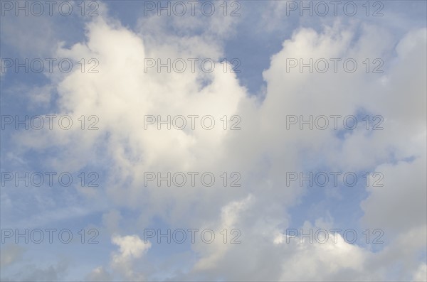 Cumulus cloudscape