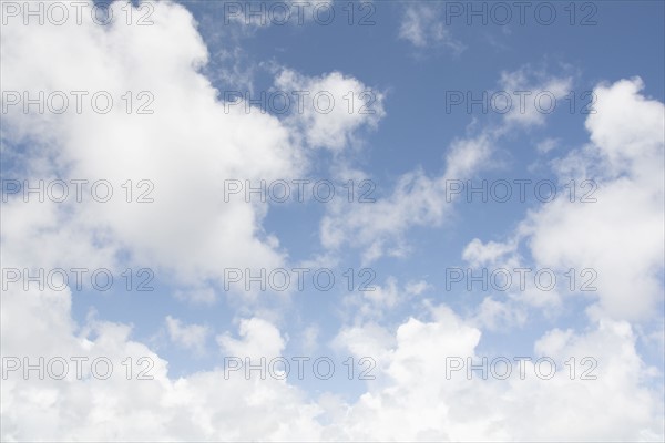 Cumulus cloudscape