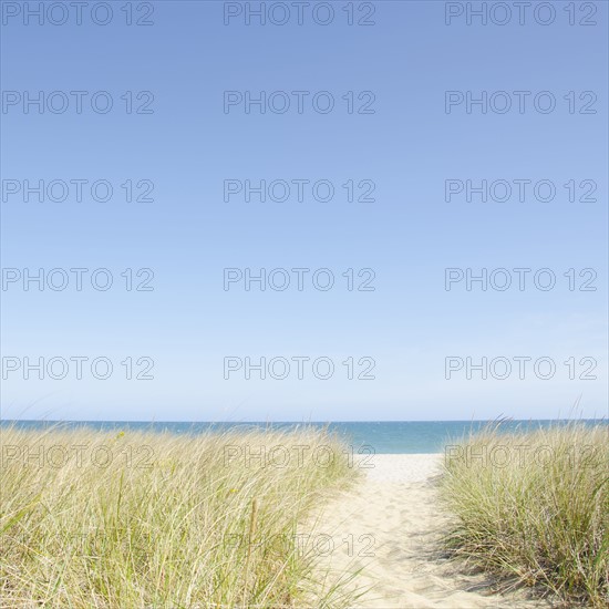 USA, Massachusetts, Nantucket Island, Beach path
