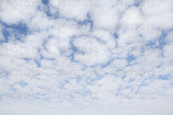 Altocumulus cloudscape