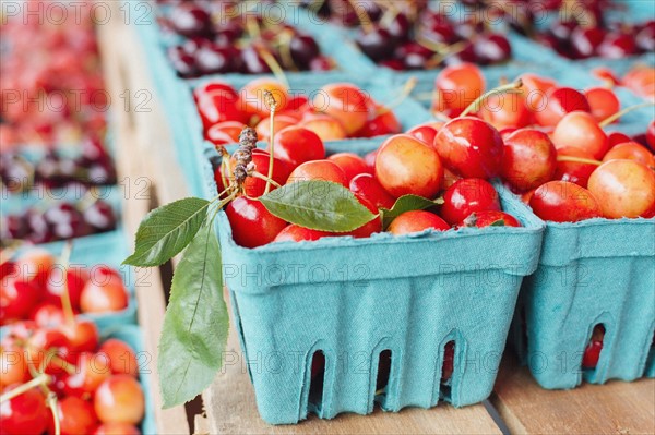 Fresh cherries in paper containers at farmer's market
