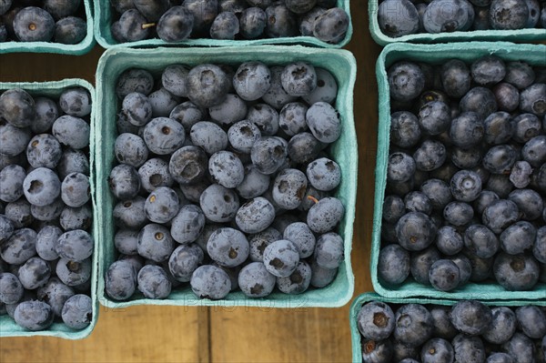 Blueberries in papers containers at market