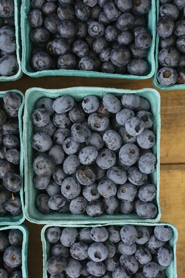 Blueberries in papers containers at market