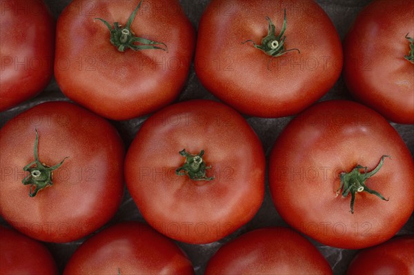 Red tomatoes at market