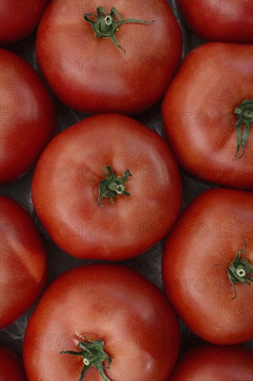 Red tomatoes at market
