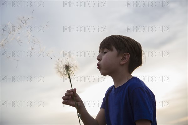 Side view of boy (8-9) blowing dandelion