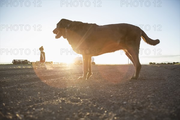 USA, Colorado, Little girl (4-5) walking on dirt road with Chocolate Labrador standing in foreground