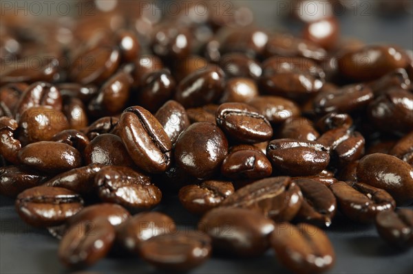 Close-up of roasted coffee beans