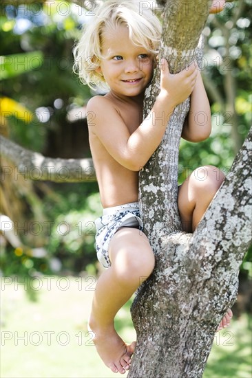 Boy (4-5) climbing on tree