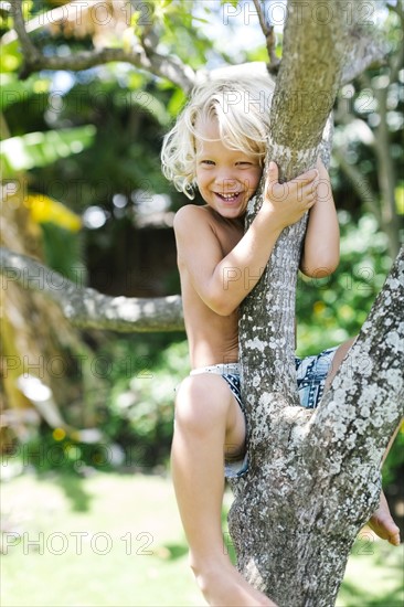 Boy (4-5) climbing on tree