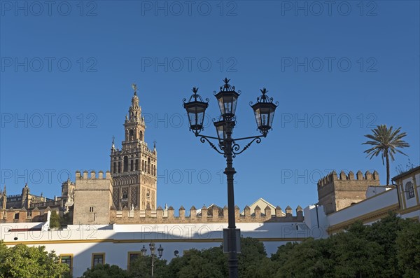 Spain, Andalusia, Seville, La Giralda bell tower of Seville cathedral with ornate street light in foreground