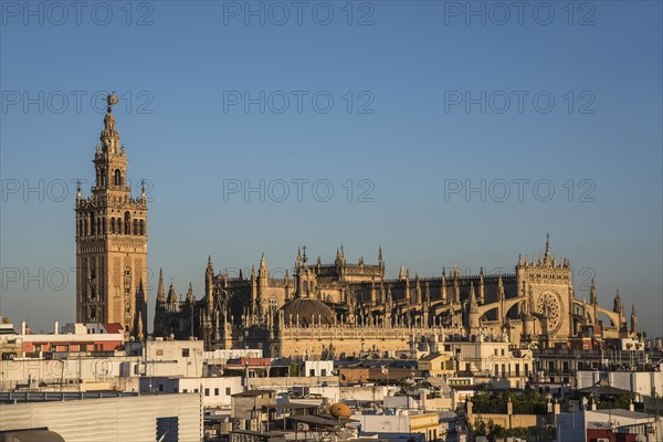 Spain, Andalusia, Seville, La Giralda, Cityscape with Seville Cathedral