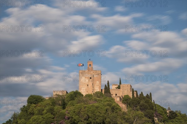 Spain, Andalusia, Granada, Palace of Alhambra on hill