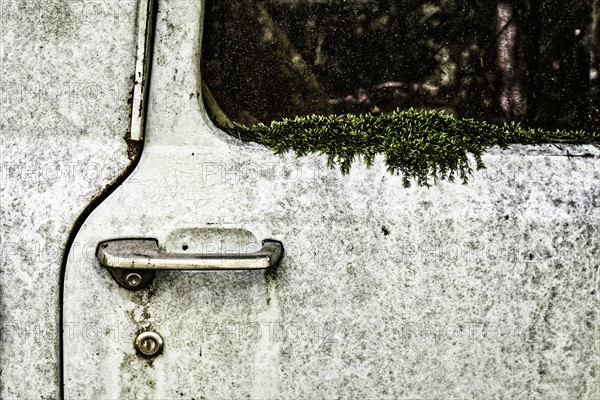 Abandoned car overgrown with moss