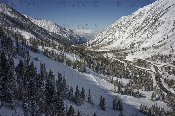 Mountain landscape with forest in winter