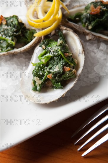 Fresh oyster meal