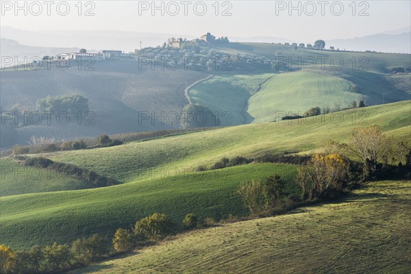 Italy, Tuscany, Castiglione D'orcia, Rolling landscape with autumn trees and plants