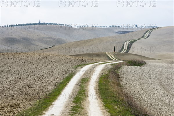 Italy, Tuscany, San Quirico D'orcia, Long twisting rural road leading through endless gray fields and lonely cypress trees