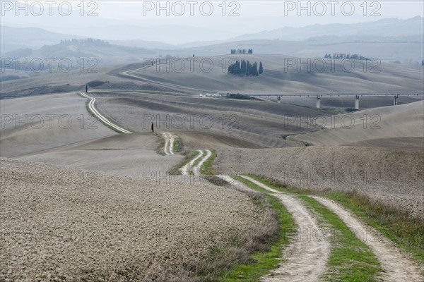 Italy, Tuscany, San Quirico D'orcia, Long twisting rural road leading through endless gray fields and lonely cypress trees