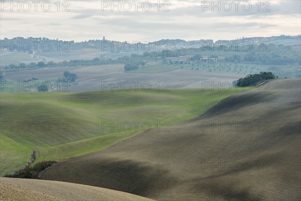 Italy, Tuscany, San Quirico D'orcia, Smooth hills and distant olive gardens on cloudy day