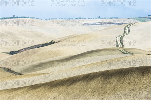 Italy, Tuscany, San Quirico D'orcia, Long twisting rural road leading through endless fields