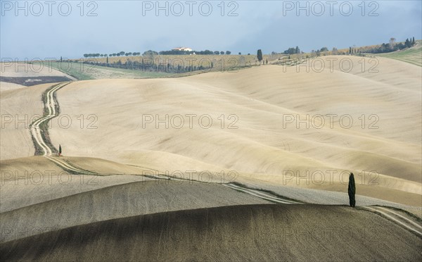 Italy, Tuscany, San Quirico D'orcia, Long twisting rural road leading through endless fields and lonely cypress tree