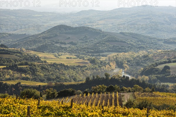 Italy, Tuscany, Ciacci Piccolomini D'Aragona, Landscape with hills covered by autumn trees, river and small vineyard