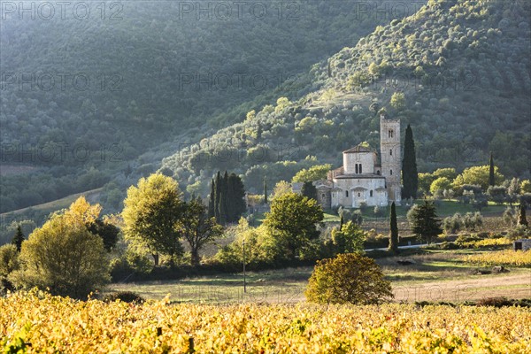 Italy, Tuscany, Montalcino, Abbey of Sant'Antimo near Montalcino against green hills