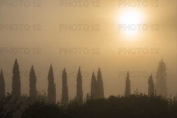 Italy, Tuscany, Sun over misty landscape with cypresses