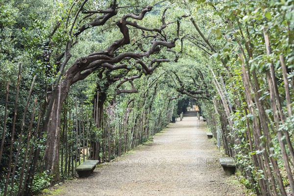 Italy, Tuscany, Florence, Footpath in Boboli gardens