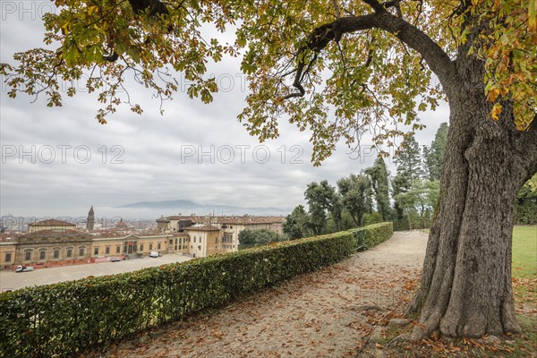 Italy, Tuscany, Florence, Cityscape seen from Boboli gardens