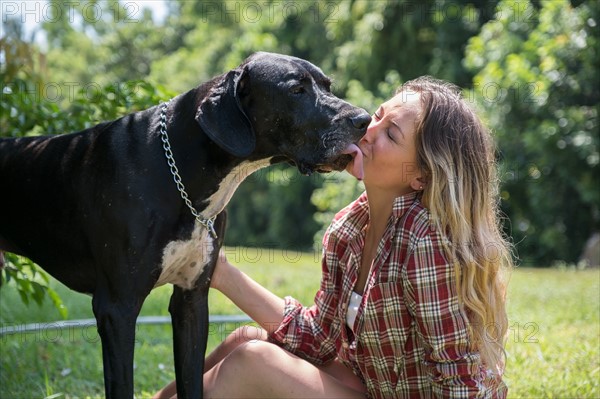 Great Dane licking woman's face