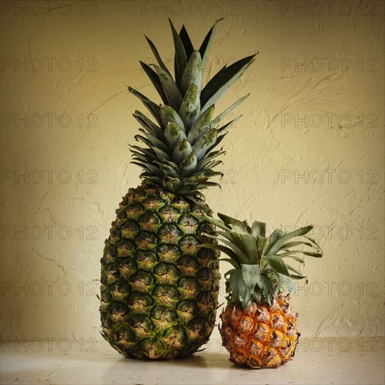 Fresh and rotting pineapples against yellow wall