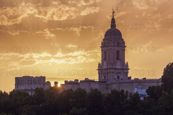 Spain, Andalusia, Malaga, Malaga Cathedral at sunset