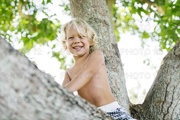 Boy sitting on tree