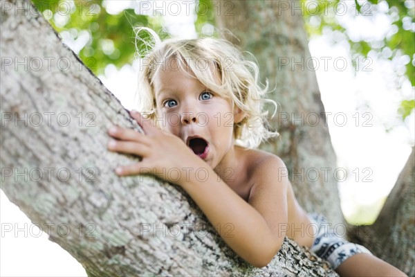 Boy sitting on tree