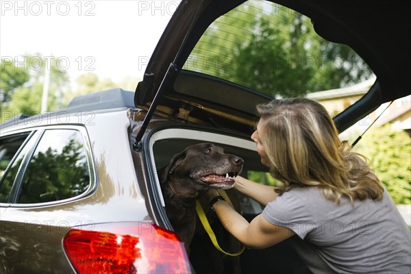 Woman with Labrador Retriever on leash in car trunk