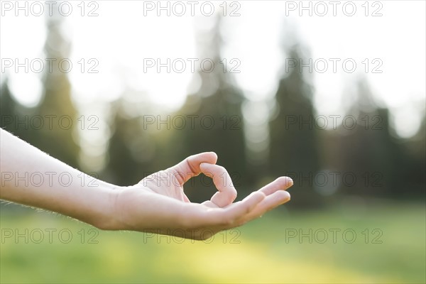 Hand of woman practicing yoga in forest