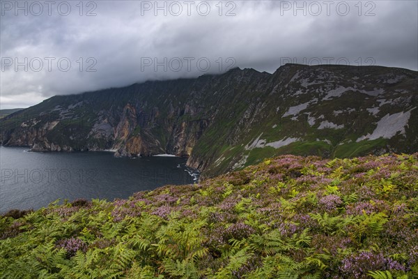 Ireland, County Donegal, Slieve League cliffs by Donegal bay