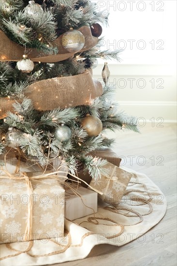 Gifts under Christmas tree