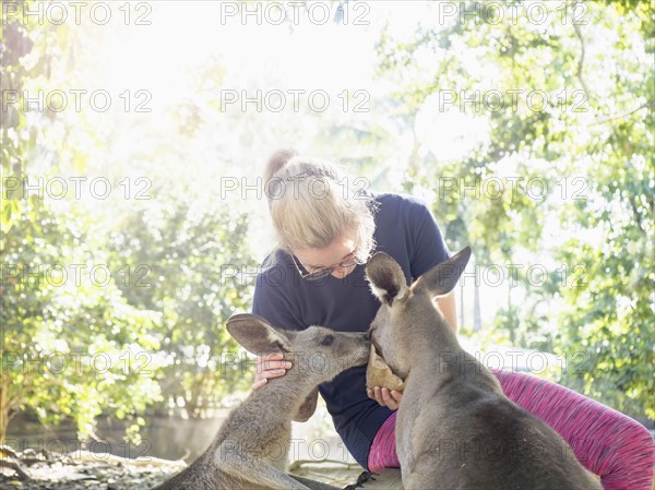 Young woman feeding Eastern grey kangaroos (Macropus giganteus)