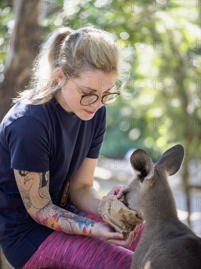 Young woman feeding Eastern grey kangaroo (Macropus giganteus)