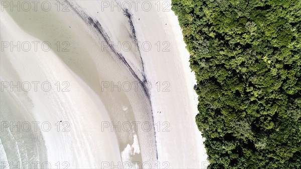 Australia, Queensland, Rainforest next to beach