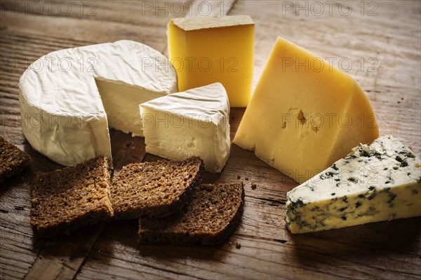 Assorted cheeses and bread slices