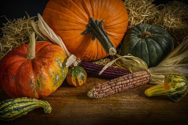 Halloween pumpkins and gourd