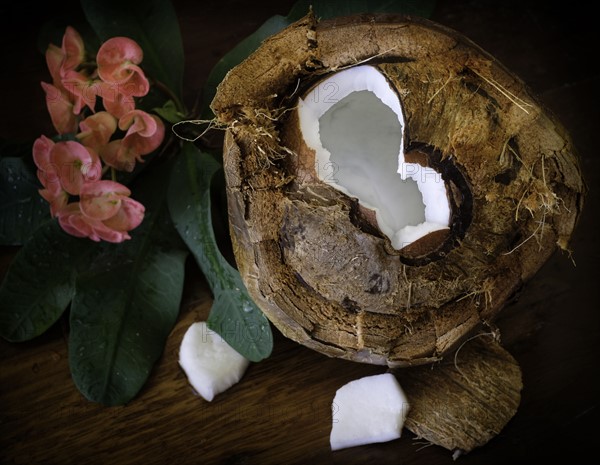 Organic coconut with water inside