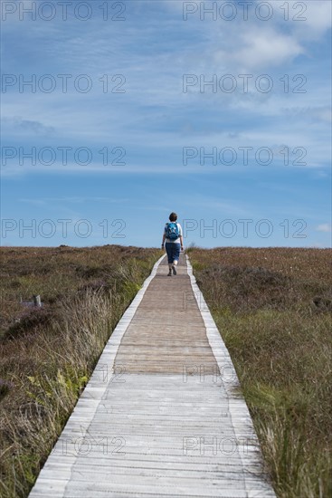 Ireland, Cavan County, Cuilcagh Mountain Park, Woman on boardwalk